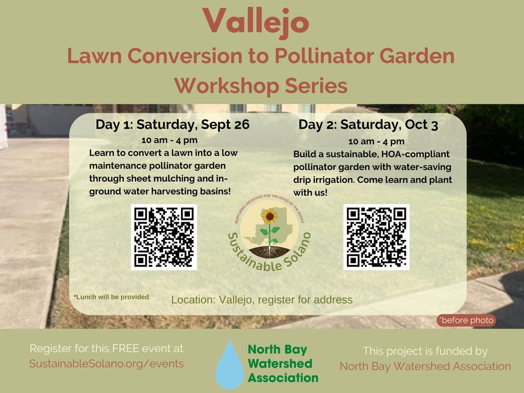 Lawn workshop